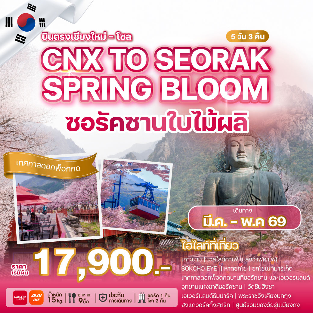 ทัวร์เกาหลี บินตรงเชียงใหม่ CHIANG MAI TO SEORAK SPRING BLOOM 5วัน 3คืน (7C,ZE)