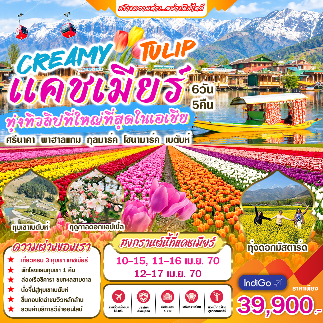 ทัวร์อินเดีย CREAMY TULIP  แคชเมียร์ทุ่งทิวลิปที่ใหญ่ที่สุดในเอเชีย 6วัน 5คืน (6E)